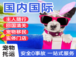 萨尔图机场快运国际宠物托运 【国